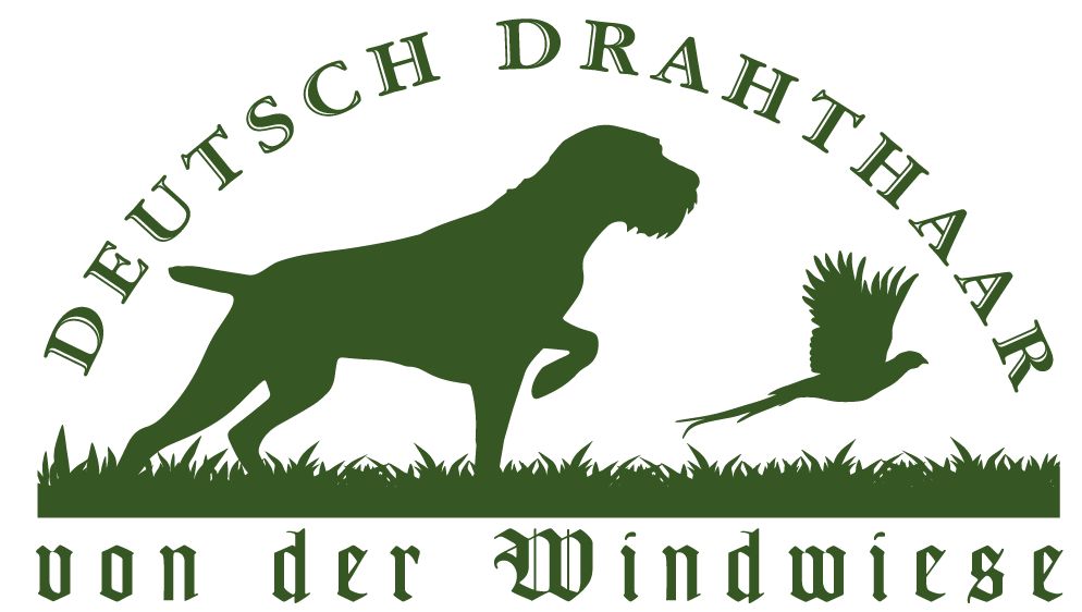 Logo Windwiese greenweb2